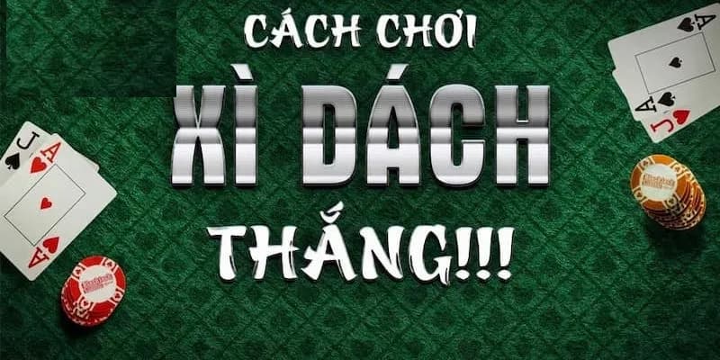 Tại sao người chơi nên học cách đánh Xì Dách ăn tiền bài bản?