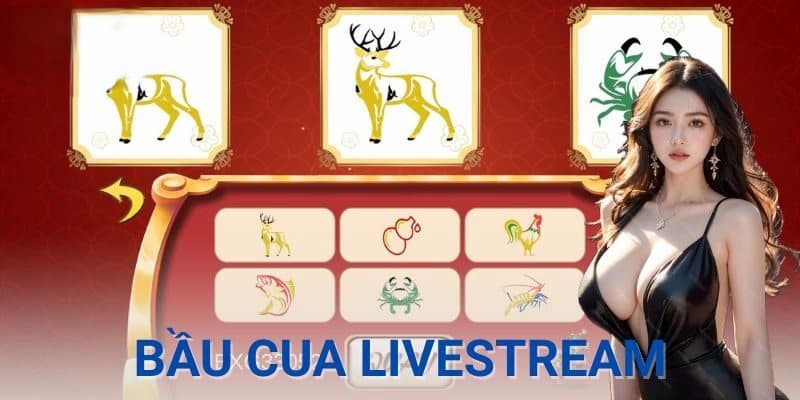 Tìm hiểu bầu cua Livestream là gì và cách chơi cơ bản
