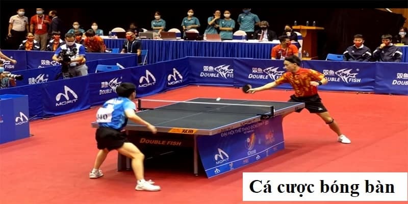 Tổng quan về cá cược bóng bàn tại Fun88